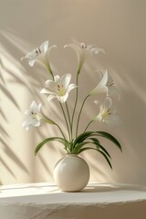 Empty white round podium and white flower in pot,natural branches and green leaves with shadows,Mockup for eco beauty cosmetic advertising. Copy space, front view.