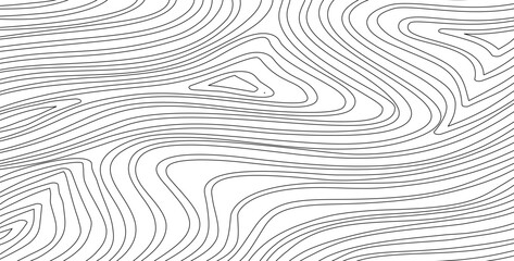 abstract wavy background. topographic contour background. contour lines background. Topographic map contour background.