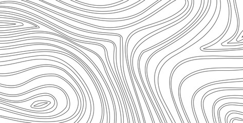 abstract wavy background. topographic contour background. contour lines background. Topographic map contour background.