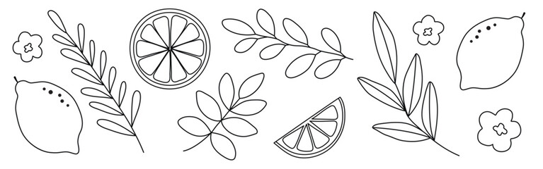 Hand drawn doodle citrus set with lemons, flowers and leaves isolated on white background