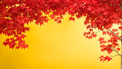 red maple tree have a  expansive branches, and a lush canopy of leaves, The  isolated   background
