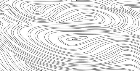 abstract wavy background. topographic contour background. contour lines background. Topographic map contour background.