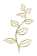 botanical floral line element for wedding card design