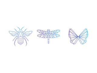 set of geometric insects bugs logo icon template