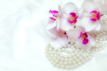 The branch of purple orchids on white fabric background