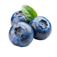 Obraz premium blueberries isolated on white background
