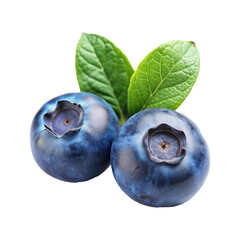 Obraz premium blueberries isolated on white background