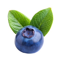 Obraz premium blueberries isolated on white background