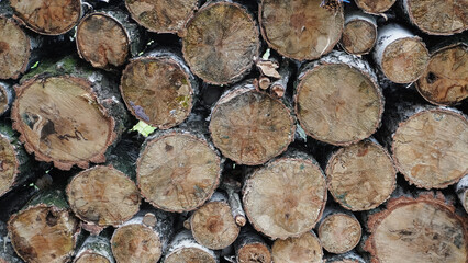 Natural wooden background - closeup of chopped firewood. Firewood stacked and prepared for winter Pile of wood logs.