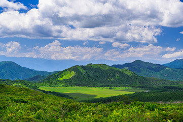 Obraz premium 夏の霧ヶ峰高原 八島湿原