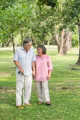 elderly healthy asian couple smile and relax in the park together