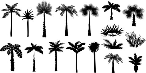 Palm trees silhouette collection. Vector design elements.