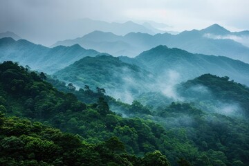 Misty mountain landscape with lush green foliage. Perfect for travel, nature, and environmental themes.