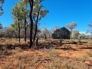Wonderful natural resource for the local community, this park is beautiful and accessible.