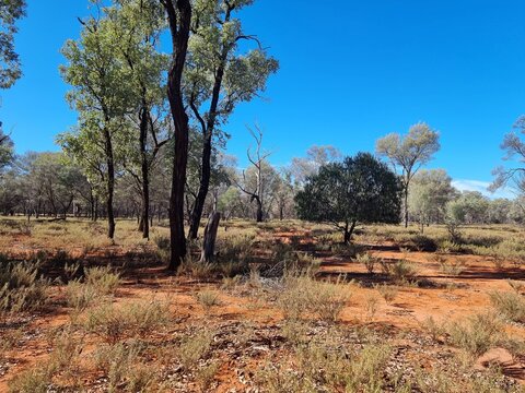 Wonderful natural resource for the local community, this park is beautiful and accessible.
