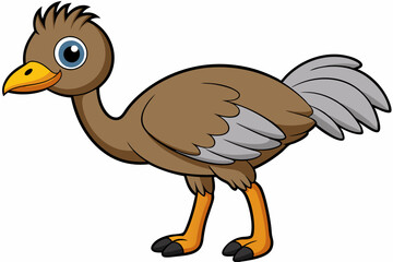 An Emu bird vector illustration