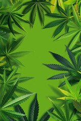 funny and friendly background for a cannabis postcard about legal marijuana