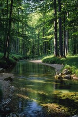 Obraz premium A forest spring scene with fresh water sources captures the essence of rejuvenation and vitality in a natural woodland setting. 