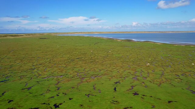 Lister Ellenbogen peninsula - aerial photograph