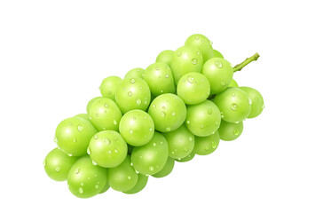 シャインマスカット イラスト リアル