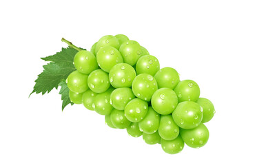 シャインマスカット イラスト リアル