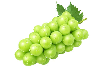 シャインマスカットのイラスト リアル