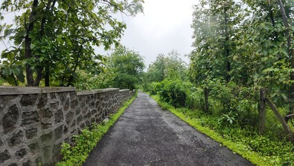 A winding path through lush green forest with trees on both sides, rain falling in the background.