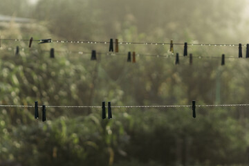 Clothes pegs for drying are hanging on the rope