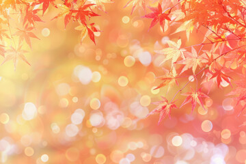 Fototapeta premium autumn leaves background autumn theme, soft focus light, bokeh effect