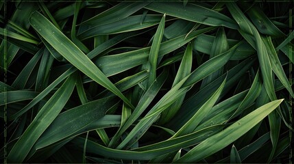 Obraz premium Dark-toned green grass leaf texture with dark border vignette, ideal for background use with a touch of elegance