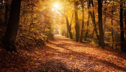 Obraz premium Sunlight filters through dense leaves, creating dappled patterns. Mosquitoes buzz incessantly. Deer graze in secluded meadows. 