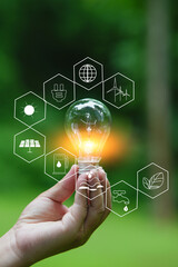 Light bulb Energy saving green nature