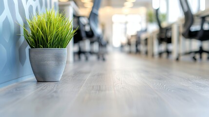 Stylish Office Space with Potted Plant and Wood Floors, Enhancing a Professional Environment
