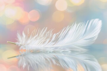 Obraz premium A delicate white feather resting on a reflective surface, with a blurred background of pastel colors symbolizing peace and calmness.