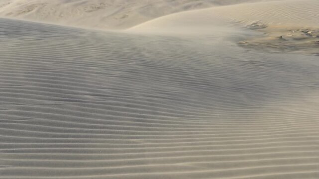 windy day at sand dunes in the desert