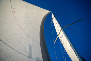 Fototapeta premium Sails of a sailing yacht in the wind sailing on the sea at sun light