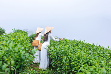 Back view of young Asian farmers or workers wearing traditional Vietnamese dresses carry baskets...
