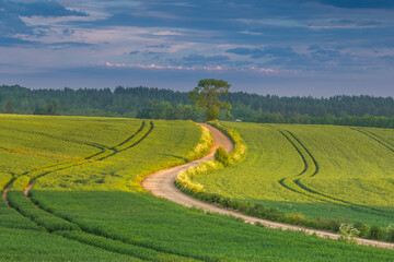 Malownicze pola uprawne z droga 