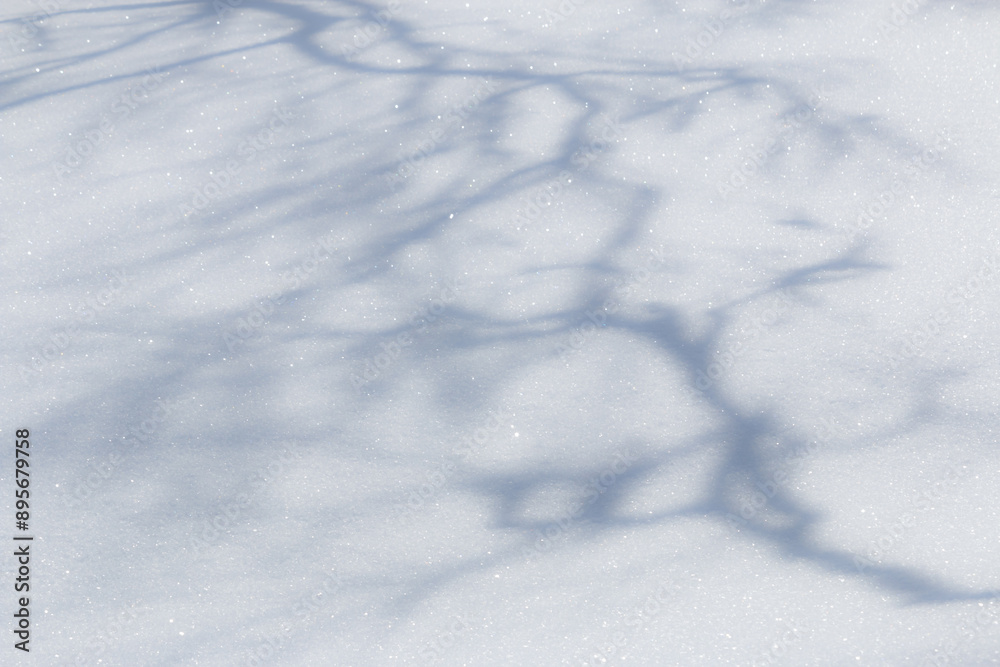 Poster natural tree branch shadow pattern on pure white snow background