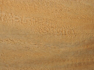 Environment background. Scratchy Pattern. Abstract Grainy Background.