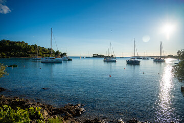 Obraz premium Yachts moored on buoys near the shore in the bay of Uvala Gradina near the town of Vela Luka on the island of Korcula in Croatia