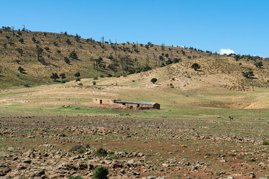 Pastoral hill sheepfold in the lower Atlas, Morocco