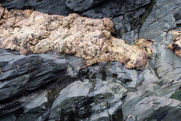 Quartzite at Rocky Valley the North Cornish Coast