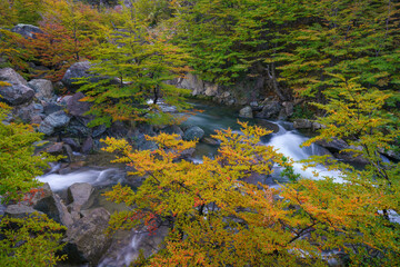 Patagonia landscape in autumn (Los Glaciares National Park)