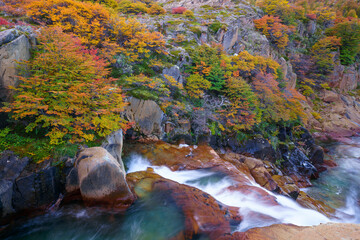 Patagonia landscape in autumn (Los Glaciares National Park)