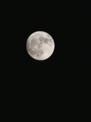 Moon