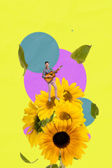 Vertical poster collage young cheerful man guitar player hobby talented performer acoustic instrument sunflower season summer blossom