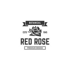 Rose flower logo design illustration