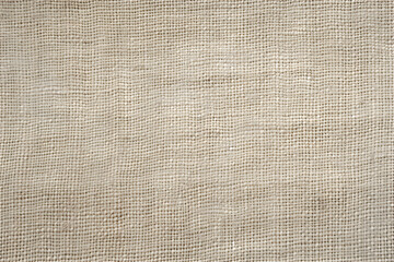 Fototapeta premium Canvas Fabric Texture background illustration