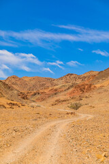 Arid landscape in the Richtersveld National Park